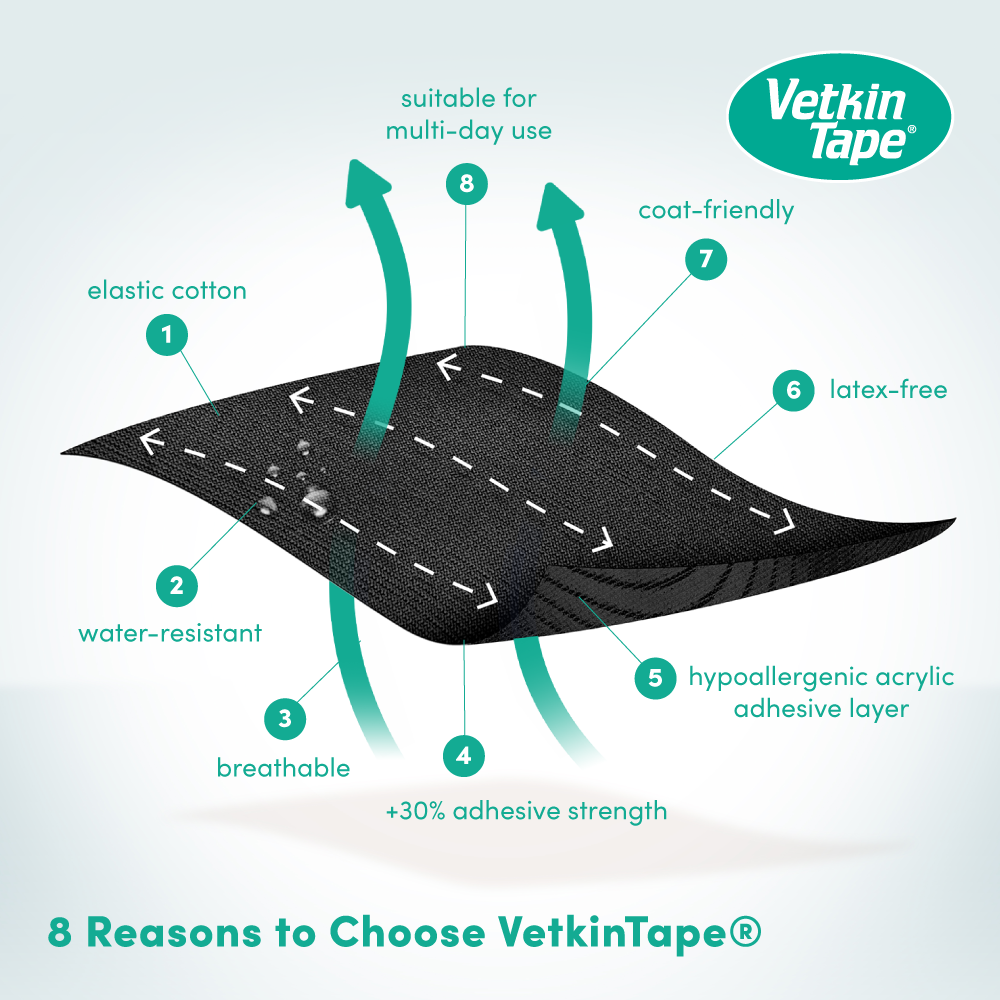 VetkinTape® veterinary tape 10cm x 5m - Image 2