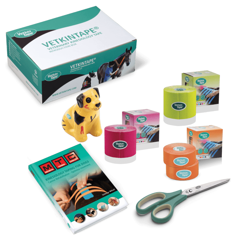 Photo inspiration: Visual Reference: How To Tape Canines Dogs With Vetkintape Kinesiology Tape
